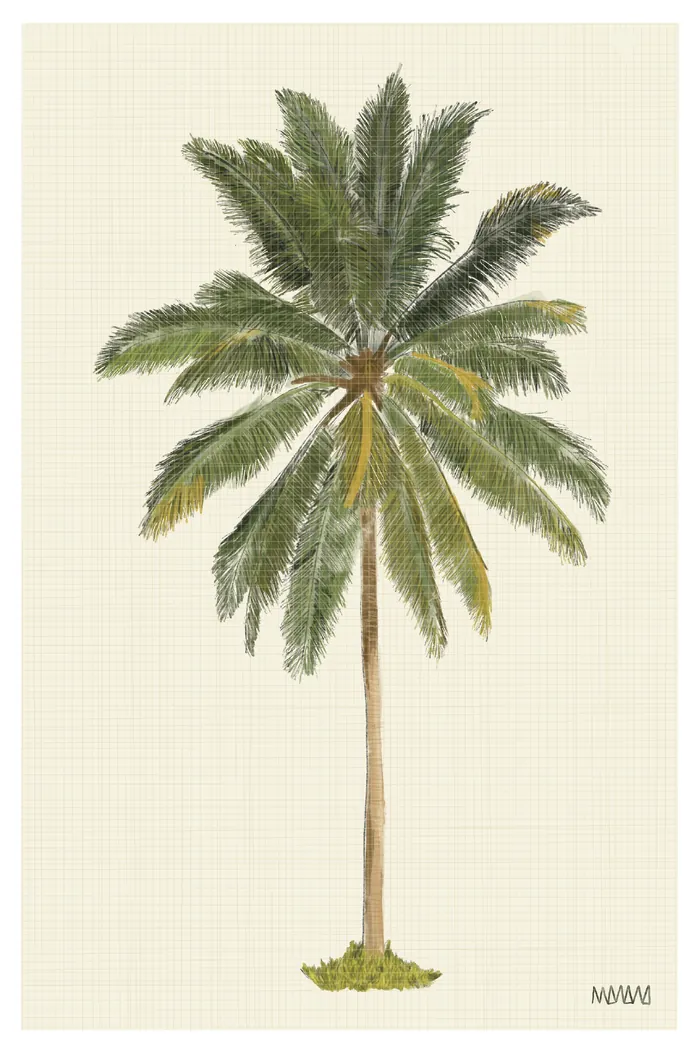 Calm palm - botanical print