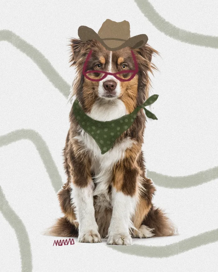 Dog portrait - illustration