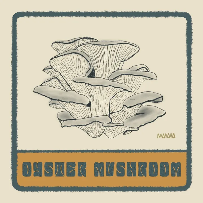 Oyster mushroom - illustrated label