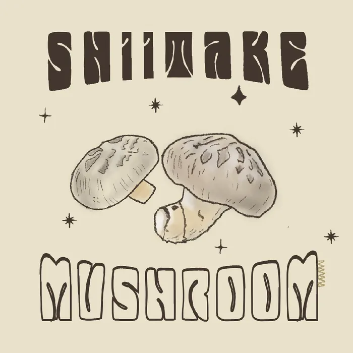 Shiitake mushroom - typographic illustration